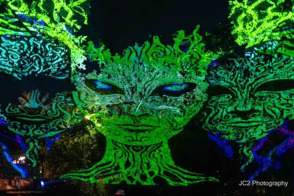 Outdoor projection mapping on trees with illuminated face imagery